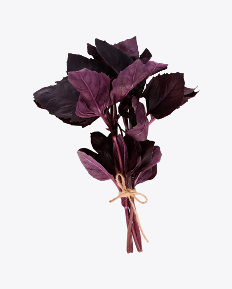 Bunch Of Purple Basil Leaves PNG