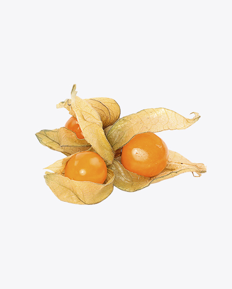 Physalis Berries with Husk PNG