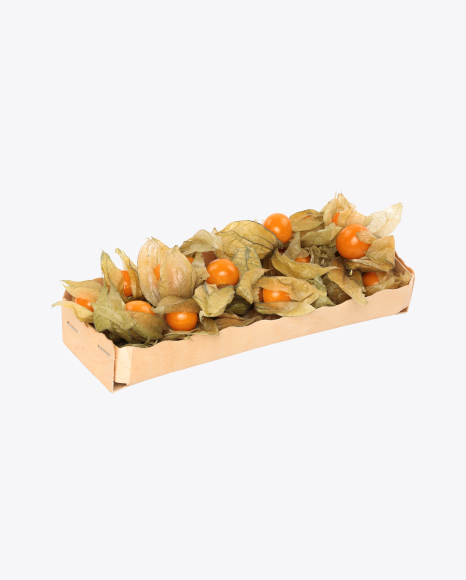 Physalis with Husk in Box PNG