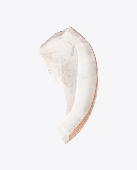 Coconut Slice PNG