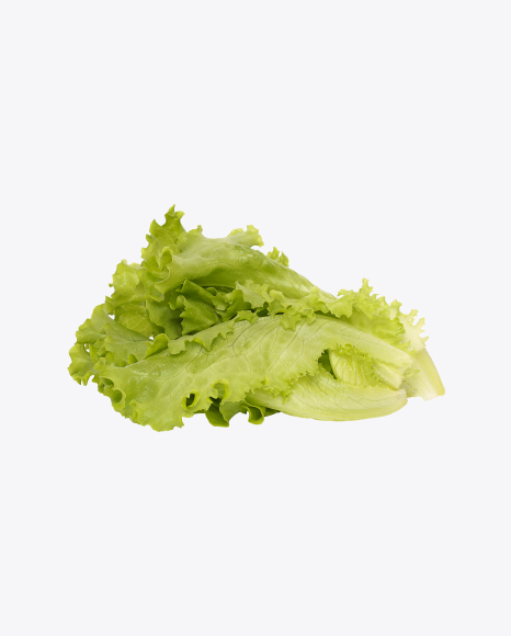 Green Salad Leaves PNG