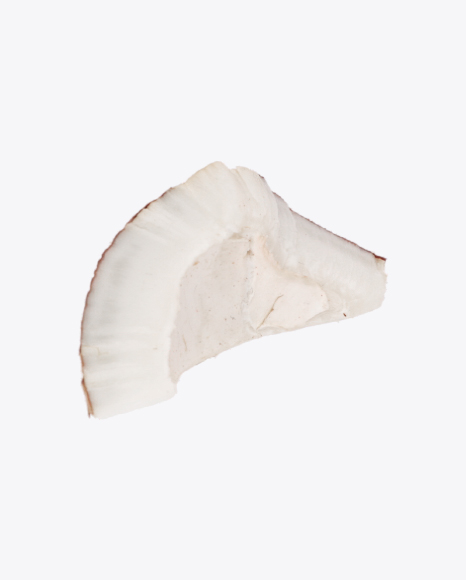 Coconut Slice PNG