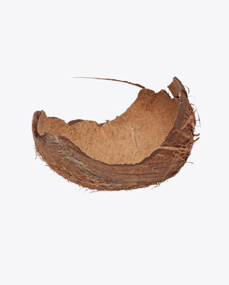 Coconut Shell PNG