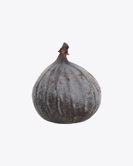 Fig PNG