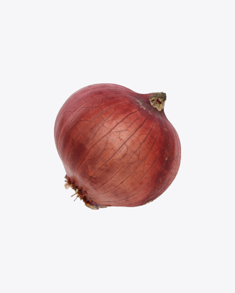 Red Onion Bulb PNG