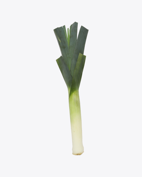 Leek Onion PNG