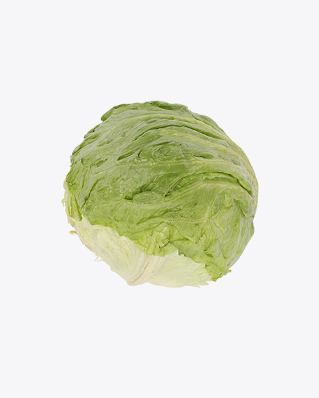 Iceberg Lettuce PNG