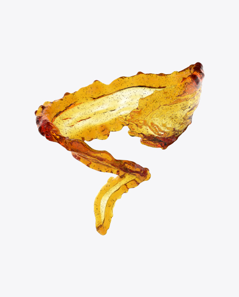 Twisted Beer Splash