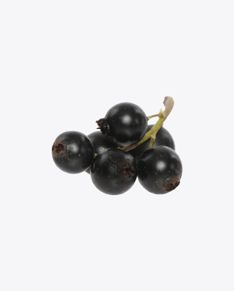 Black Currant PNG