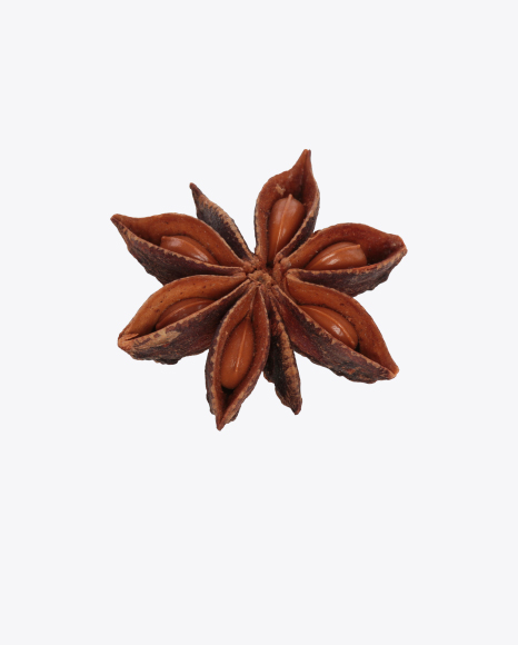 Star Anise PNG