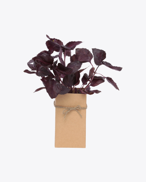 Bunch of Purple Basil In Box PNG
