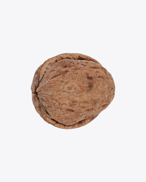 Walnut Shell PNG