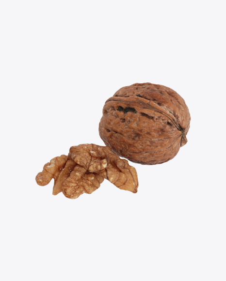 Walnuts and Shell PNG