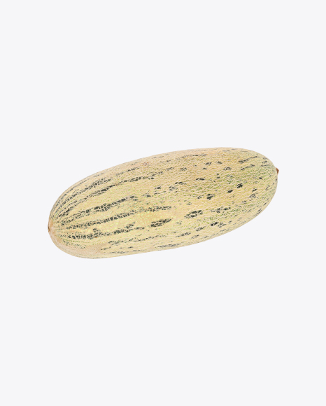 Torpedo Melon PNG