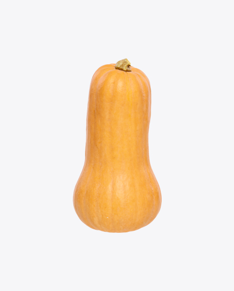 Butternut Pumpkin PNG
