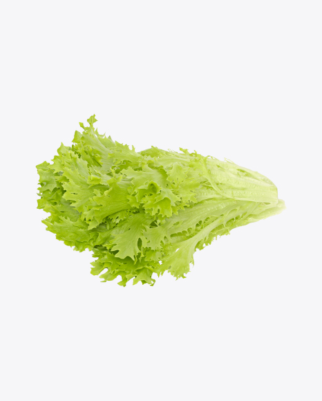 Frisée Salad Leaves PNG