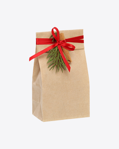 Christmas Gift in Paper Bag with Decor PNG