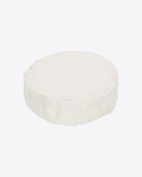 Camembert Cheese PNG