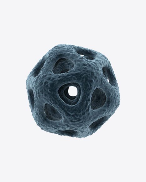 Bacteria