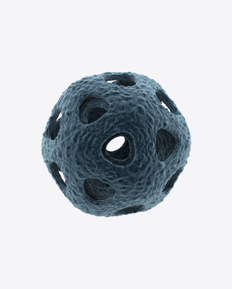 Bacteria