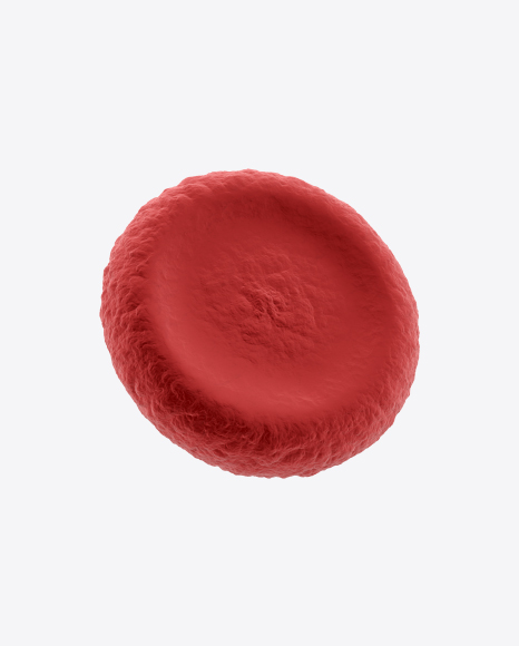 Erythrocyte