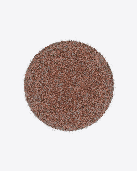 Egg Cell