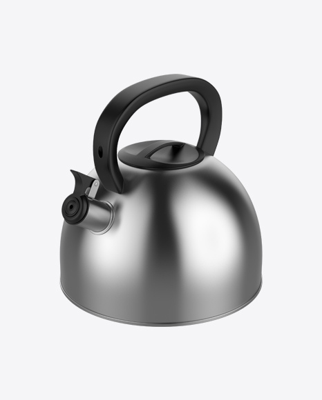 Stainless Steel Kettle