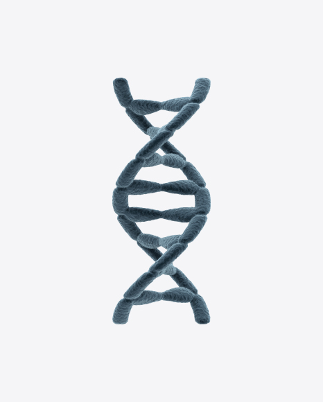 DNA Helix