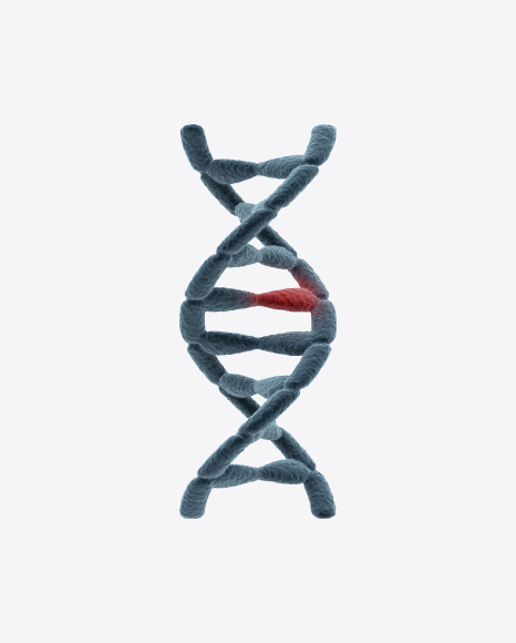 DNA Helix
