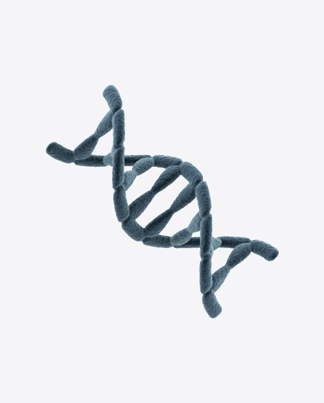 DNA Helix