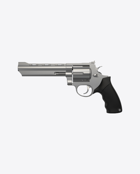 Silver Revolver