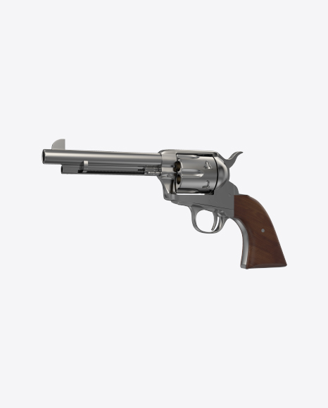 Steel Revolver