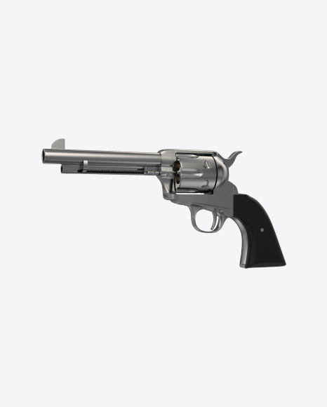 Steel Revolver
