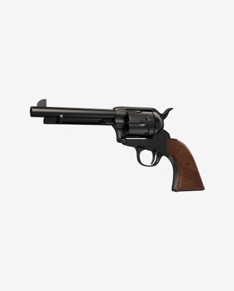 Black Revolver