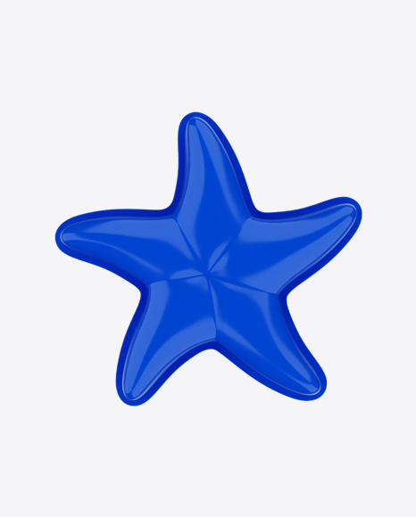 Blue Star Beach Toy