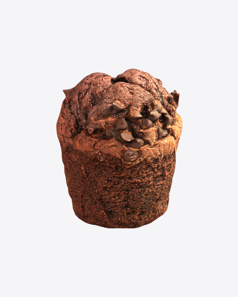 Chocolate Muffin