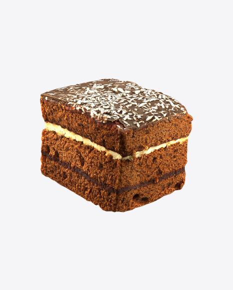Chocolate Cake with Coconut Flakes