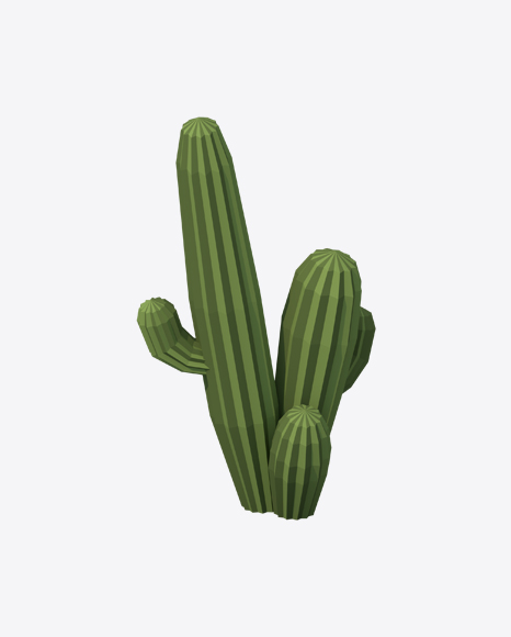 Low Poly Cactus