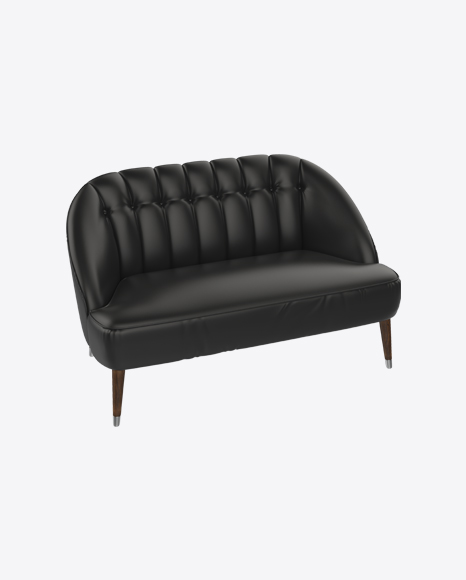 Black Leather Sofa