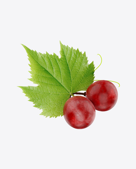 Grapes PNG