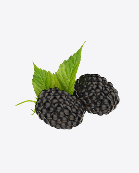 Blackberries PNG