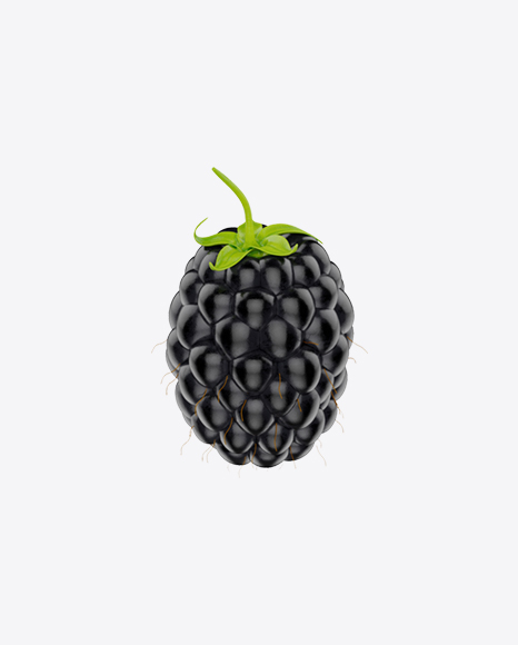 Blackberry PNG