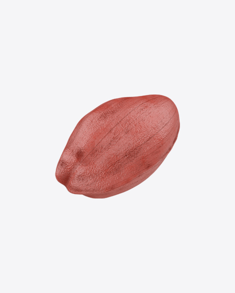 Peanut PNG