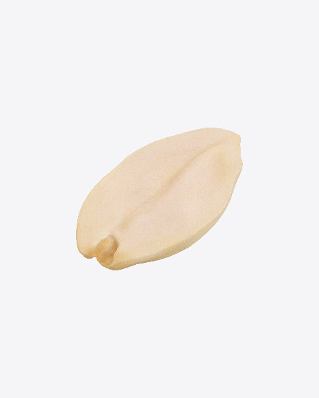 Peanut Half PNG