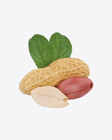 Peanuts PNG