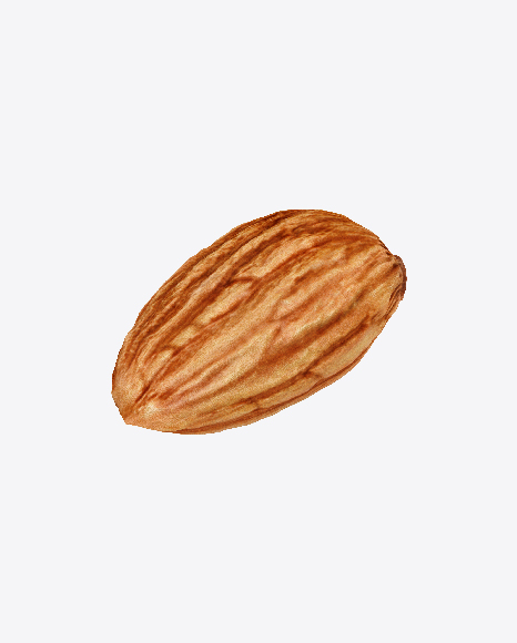 Almond PNG