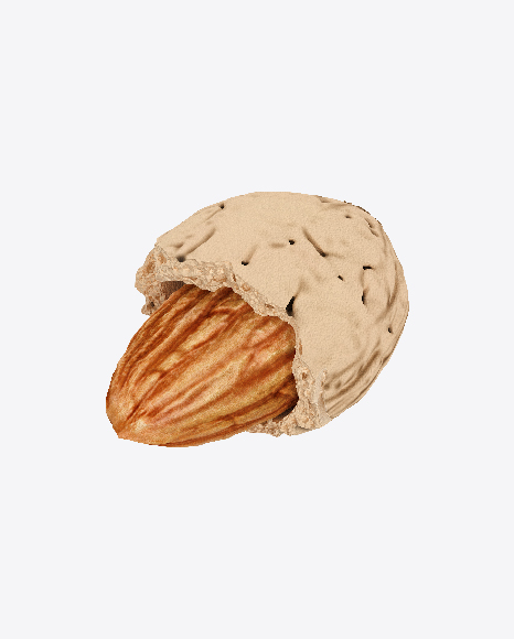 Almond in Shell PNG
