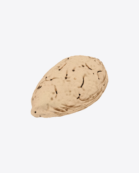 Almond Shell PNG