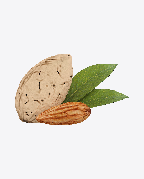 Almonds PNG