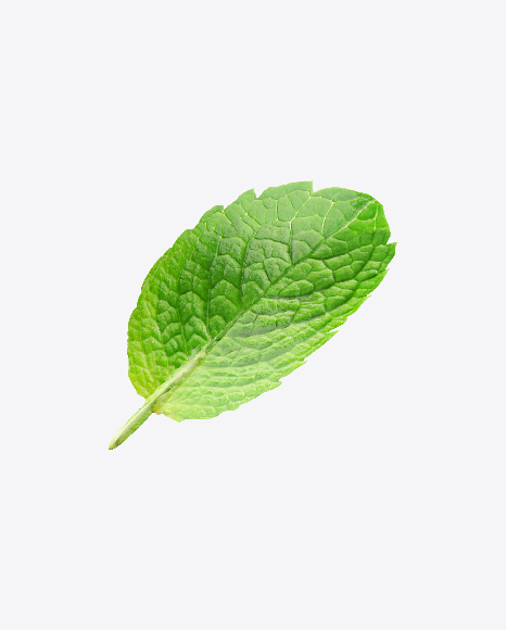 Mint Leaf PNG
